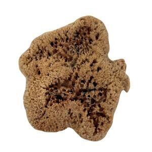 Large Natural Unbleached Sea Sponge - 7" x 6" x 3"